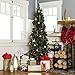 Best Choice Products 6ft Pre-Lit Hinged Fir Artificial Pencil Christmas Tree w/ 250 Warm White Lights, Foldable Stand, Green