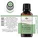 Plant Therapy Organic Rosemary Essential Oil 100% Pure, USDA Certified Organic, Undiluted, Natural Aromatherapy, Therapeutic Grade 30 mL (1 oz)