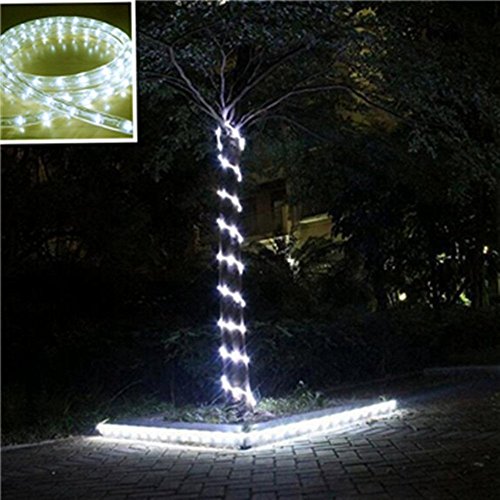 image for PYSICAL® 110V 2-Wire Waterproof LED Rope Light Kit for Background Lig