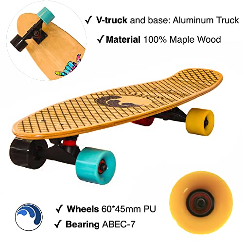 Cruiser Skateboards 27 inch (Muévelo)/ Beginner and Advanced Complete