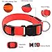 Illumifun LED Dog Collar, USB Rechargeable Light Up Dog Collar, Adjustable Nylon Webbing Glowing Safety Pet Collar Make Your Dogs Safe& Seen in The Dark(Red, Large)thumb 3
