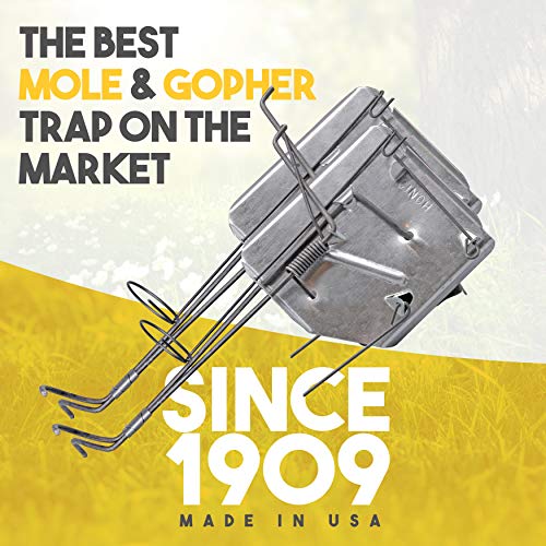 Cinch Mole Trap with Tunnel Marking Flags, Heavy Duty Reusable Rodent