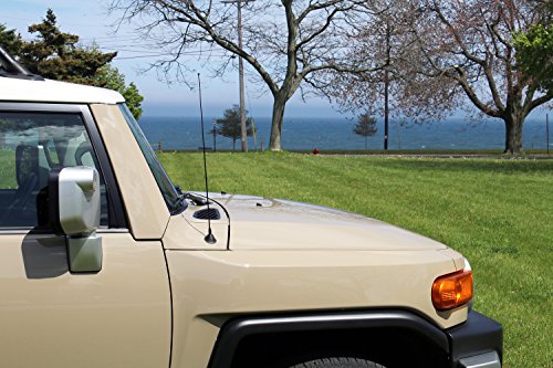 AntennaMastsRus - 2009-2018 Ford F-150 - 21" BLACK Custom Short Antenna Mast SPRING STEEL!!