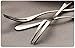 10 piece Stainless Steel Fruit Fork,Cake Fork,Cocktail Forks