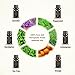 Essential Oils Gift Set Top 6 - 100% Pure & Therapeutic Grade 10ml