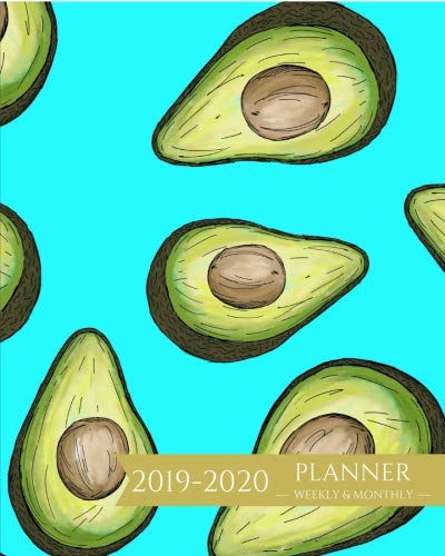 2019-2020 Planner Weekly and Monthly: 2 Year Calendar For To-Do List, Appointment Journal and Academ by Light Feather Journals