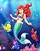 Cartoon Mermaid Diamond Painting Set - PigBoss 5D Full Diamond Embroidery Cross Stitch Crystal Diamond Dots Kit Home Decor Art Gift for Adults (9.8 x 13.8 inches)