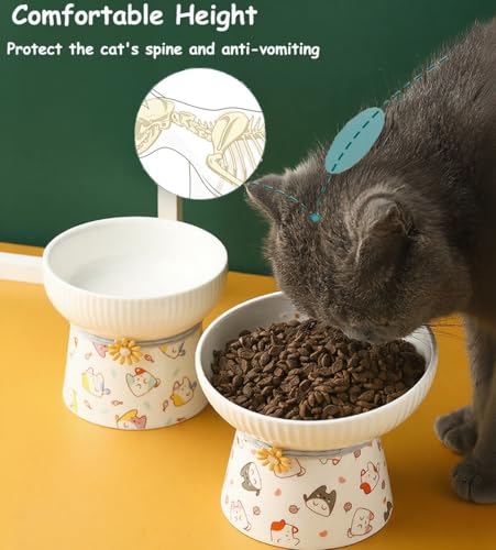 2 Pcs Elevated Ceramic Cat Bowl Raised Height Cats Feeder for Dry Wet Food & Water Anti Vomit Neck Protective Whisker Fatigue Relief Cat Food Bowls Non-Slip Pet Feeding Dish for Cats & Small Dogs