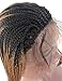 BLUPLE Ombre 27# Micro Braided 1b Synthetic Lace Front Wigs Fully Hand Tied Heat Resistant Hair Braiding Styles Fiber Hand Braided Wig for Black Women (18 inches, Micro Braided,T1B/27)