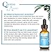Hyaluronic Acid Serum for Face - Pure Hyaluronic Acid Face Serum with Organic Aloe, Vitamin C & E Hydrating ＆ Anti Aging Serum Give You Hydration, Moisture, Non-greasy & Smooth Skin for Face Serum