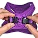 Downtown Pet Supply Step in Dog Harness for Small Dogs No Pull, Small, Blue - Adjustable Harness with Padded Mesh Fabric and Reflective Trim - Buckle Strap Harness for Dogs