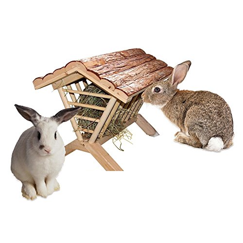 Top 10 hay rack for rabbits for 2018