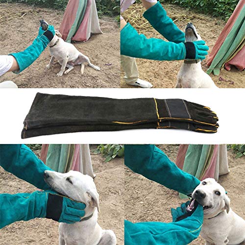 Sporting Style Animal Handling Antibite/scratch Gloves, Safe and