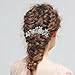 ANBALA Pack of 2 Bridal Wedding Hair Comb, Crystal Rhinestones Pearls Women Wedding Hair Comb with 20 Pcs Crystal Hair Pins Clips Headpiece for Brides