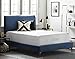 LUCID 16 Inch Plush Gel Memory Foam and Latex Four-Layer-Infused with Bamboo Charcoal Mattress, Twin XL