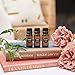 Edens Garden Coffee Essential Oil, 100% Pure Therapeutic Grade (Highest Quality Aromatherapy Oils- Energy & Stress), 5 ml
