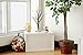 Perfect Life Ideas 24 Inch Snow Covered Lighted Tree - Multiple Uses - Baby Night Light Lamp - Jewelry Tree - Table Top Décor Home Centerpiece Weddings Parties - BO Portable - No Cords Outlets Needed