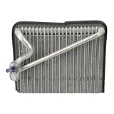 Spectra Premium 1010105 A/C Evaporator