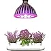 SZHLUX PT100 LED Grow Light 10W 4×4ft Coverage