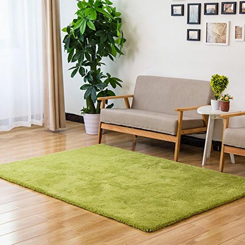 BIUCPLLL Area rug simple and modern blanket bedroom blanket for bedroom [tatami carpet]-E 200x300cm(79x118inch)