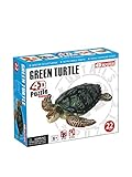 4D Puzzle - Green Turtle