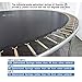 Exacme 14 Foot Trampoline with Safety Enclosure Net for Kids Adult, Heavy Duty Round Outdoor Trampoline with Ladder, T14