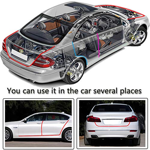 5 Auto+Parts+Club+Protection+Ttransparen