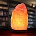 Sunnest Natural Himalayan Salt Lamp, 9 inch Hand Carved Crystal Salt Rock Lamps, Pink Hymalain Salt Lamps, Wood Base with Dimmer Control, Air Purifying