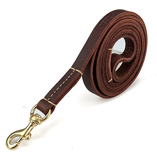 ANCHEER AN-DL002 Dog Leather Leash 6ft long by 3/4 Inch Wide, Genuine Training Leather Leash, Brown, With Free poop scoop in great gift package