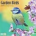 2020 Garden Birds Calendar 16 Month 12 x 12 Wall Calendar by Bright Day Calendars (Bird Calendar Collection) (Garden Birds 2019)