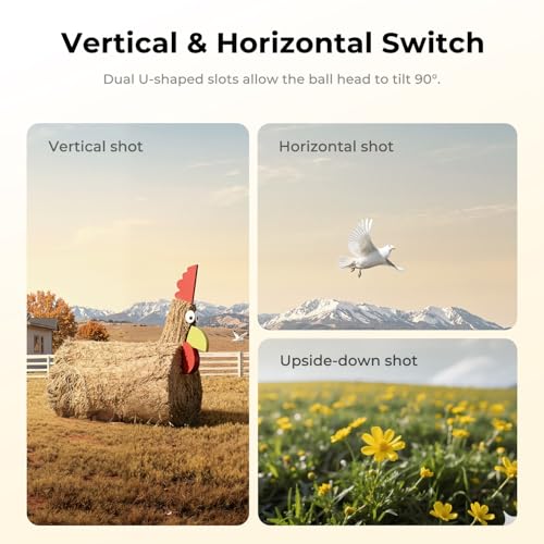 K&F CONCEPT 60"/153cm Carbon Fibre Tripod for Camera, 0.9kg Ultra-Lightweight Travel Tripod with ±18° Leveling 360° Panorama Head, Detachable Center Axis, Arca Type QR Plate, 10KG Load Capacity