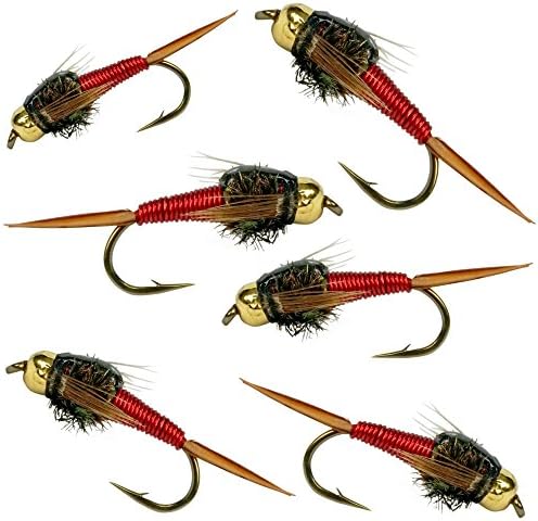 BH Copper John Fly Fishing Nymph Trout Fly Assortment