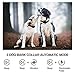 2 in 1 Dog Remote Training Collar & Anti bark Collar, Remote Range 1000-1500ft,Rechargeable - Waterproof Beep, Vibration, Shock Dog Bark Stop Collar for Small, Medium, Large Dogs