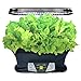 AeroGarden Extra (LED) with Gourmet Herb Seed Pod Kit