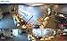 Geovision GV-FER12203 12MP H.264 Low Lux Fisheye Rugged IP Camera (White)
