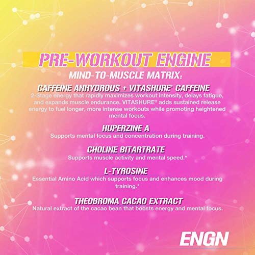EVL Intense Pre Workout with Creatine Pre Workout Powder Drink for