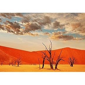 Dead Valley in Namibia - Removable Wall Mural | Self-Adhesive Large Wallpaper - 66x96 inches