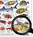 fishcardscom New! Hawaii Reef Fish and Invertebrate ID Set of 2 Identical Cards 6x9 Inches