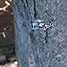 Estes Proto X SLT Nano Ready to Fly (RTF) Radio Controlled Electric Powered Quadcopter Drone (Blue)