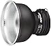 Profoto 100785 Zoom Reflector 2 (Silver)