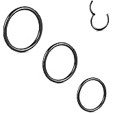 PEAKLINK Titanium Nose Hoop Ring 20G Cartilage Earring Helix Piercig Septum Ring Black Lobe Hoop Earring 3 PCS Rook Ring Hinged Segment Seamless Clicker Ring Conch Tragus Lip Earrings 6 mm 8 mm 10 mm