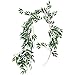 5.7' Artificial Hanging Willow Leaves Vines Twigs Fake Silk Willow Plant Leaves Garland String in Green for Indoor/Outdoor Wedding Decor Jungle Party Supplies Greenery Crowns Wreath