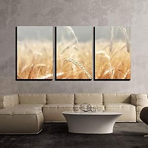 Close Up Of Wheat Field - 3 Panel Canvas Art