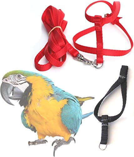 Fred Bird Harness &amp; Leash with additional larger TRAINING Head Loop