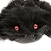 Bluesea Black Large Spider Halloween Decoration Haunted House Prop Indoor Outdoor