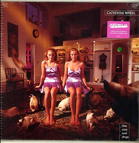 Like Cats And Dogs Record Store Day Purple Vinyl Amazon Com Music