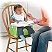 Fisher-Price Healthy Care Booster Seat, Green/Blue, One size