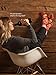 Blue Q Socks, Women's Crew, My Favorite Salad Is Wine,8, Fits Women's shoe size 5-10.,red, yellow, blue