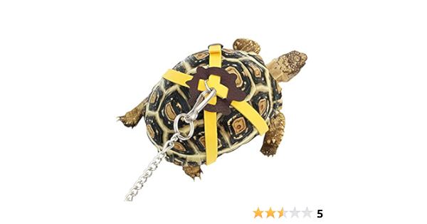 turtle leash amazon