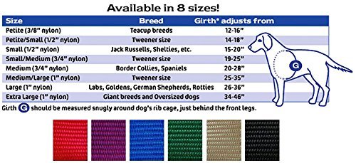 easy walk size chart